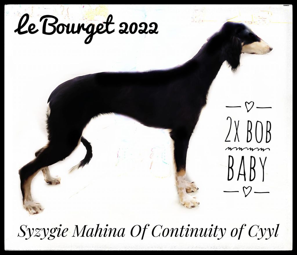 of Continuity of Cyyl - 1ere sortie en expo pour nos Of Continuity of  Cyyl