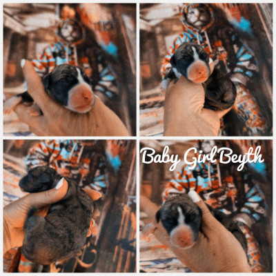 Baby Girl Beyth